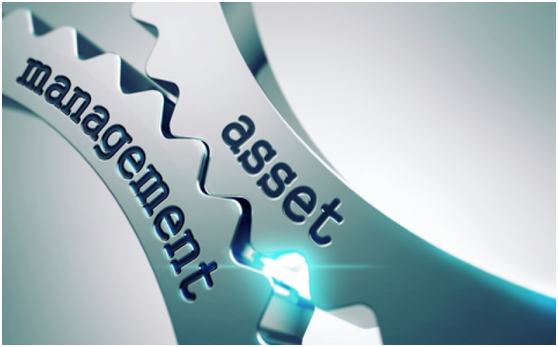 asset management